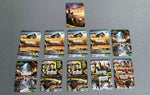 Kingdom Legacy: Reino Feudal